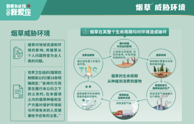 煙草產(chǎn)業(yè)鏈的隱性碳足跡 一個(gè)不容忽視的氣候挑戰(zhàn)